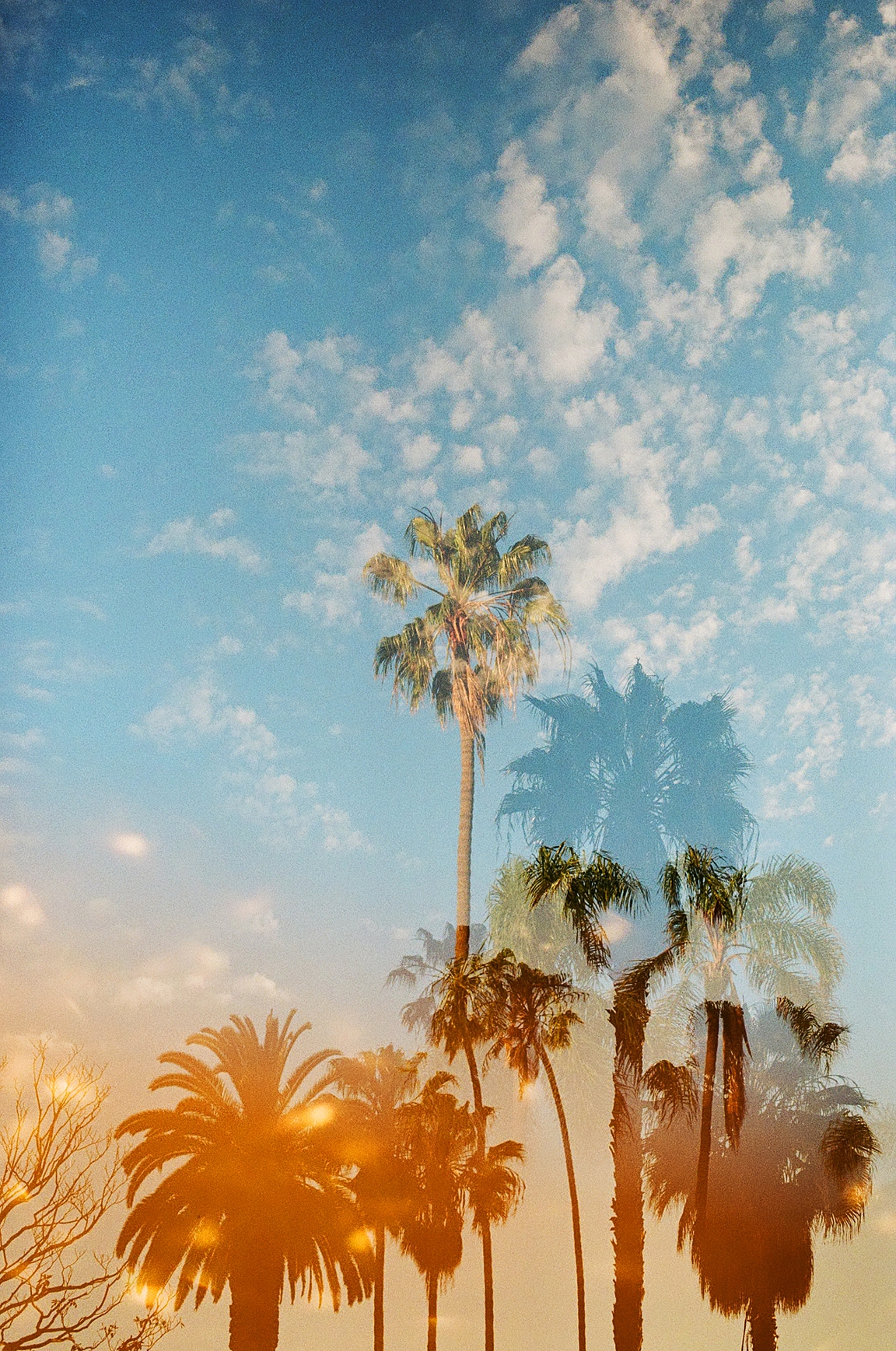 Stocksy txpccaa66bcs WJ300 Medium 3616941