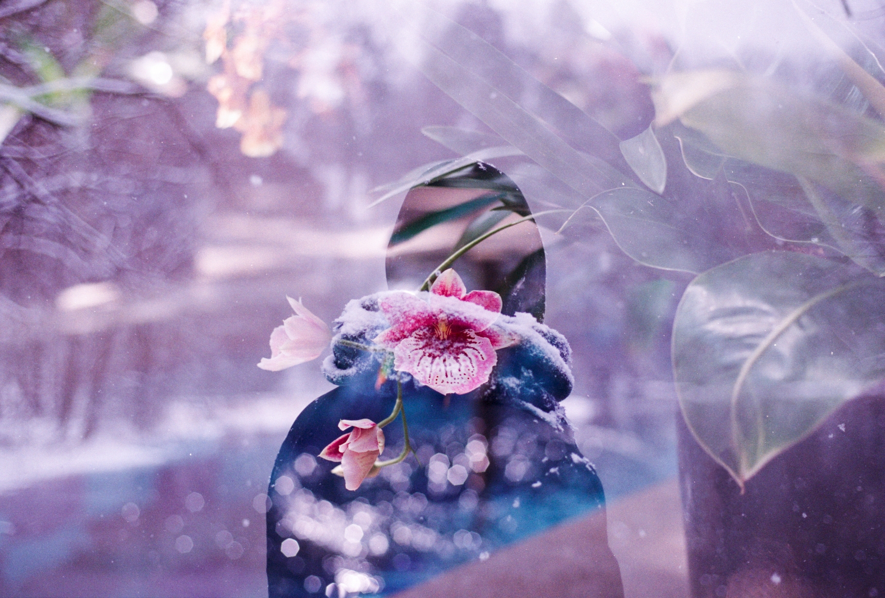 Stocksy txpccaa66bcs WJ300 Medium 1975462 1