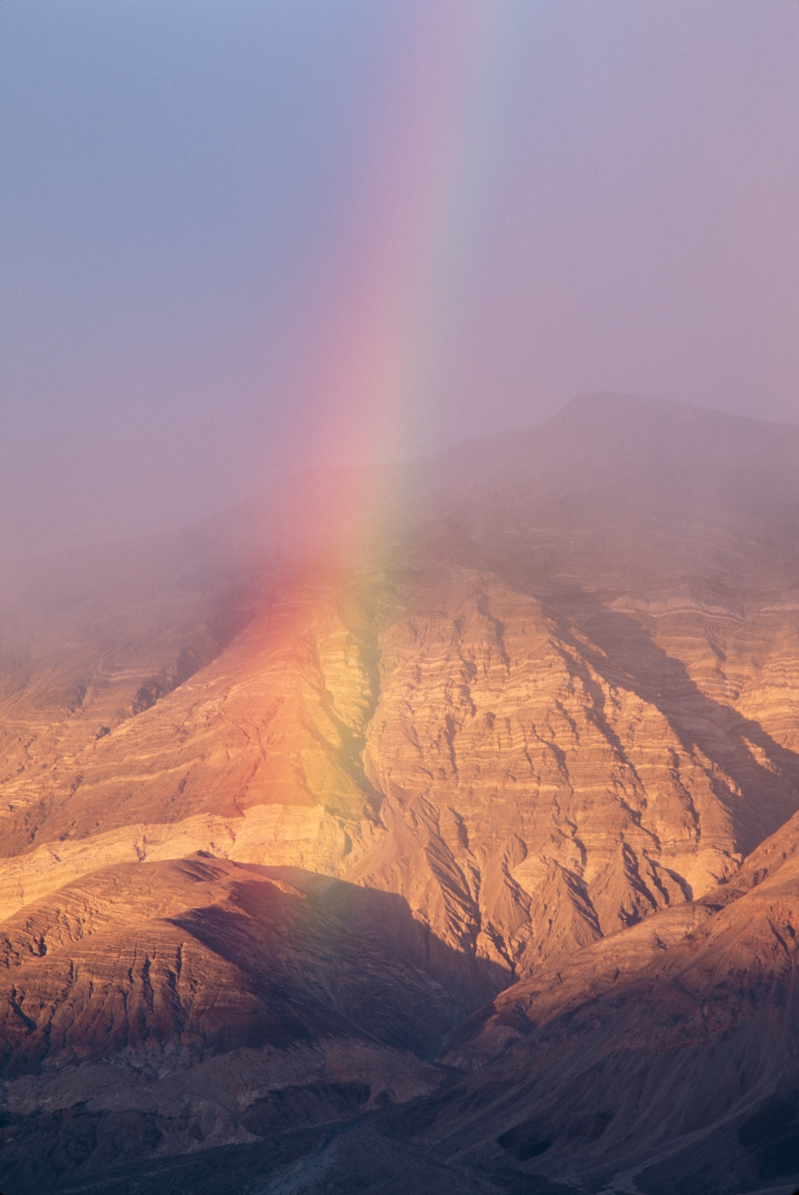 Stocksy txpccaa66bcs WJ300 Medium 446892 1